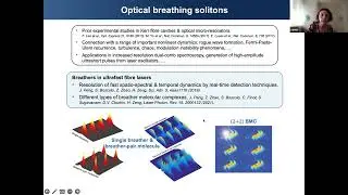 Dr. Sonia Boscolo | Complex nonlinear wave dynamics in ultrafast fibre lasers and their...
