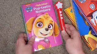 Paw Patrol Deluxe Quiz It Pen Review
