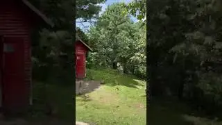 Shimla Abbottabad || Biology and exploring nature