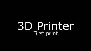 3D Printer: First print