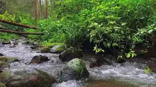 Healing River Sounds &ndash; 10 Hours of Calming ASMR for Focus & Mind Relief