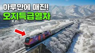 🚅 운행 중단되기 전에 다녀왔습니다! 감성 충만 강원도 기차여행 최고네요~! | 당일치기 대중교통 여행