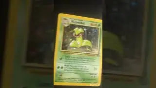 My 1995 Rare Pokemon Trading Card Collection | Victreebel (Holo)