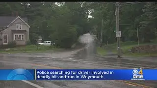 Weymouth Police Looking For Volkswagen Jetta In Deadly Hit-And-Run