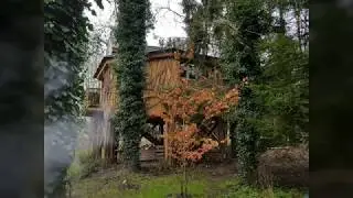 Host Unusual visit Tilia Treehouse at West Lexham, Norfolk