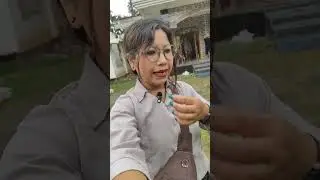 নেঘেৰিবিল উচ্ছেদ স্থলিত আটাইতকৈ ধুনীয়া ঘৰটো