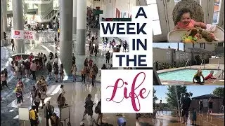 Vacation and losing a kid at Legoland!! A Week in the Life of the Balmet Family - 6/19 - 6/25