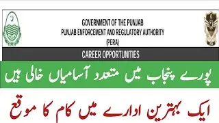 Punjab government PERA Jobs advertisement | enforcement officer Jobs | Investigation officer Jobs
