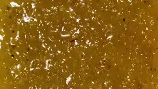 طريقة عمل الساقو الخليجي😋🇲🇦🇸🇦