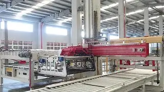 single column carton boxes palletizing equipment