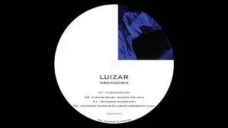 Luizar - Temporary Suspension (Wrong Assessment Remix) [ECLLTD011]