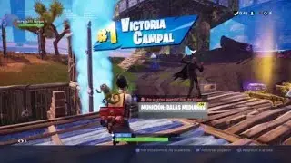3  vs  10  Fortnite