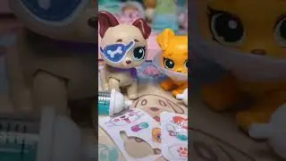 New 5 Surprise PET RESCUE toys opening #shorts