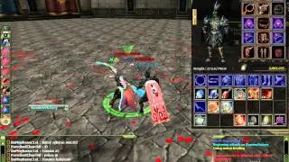 Euro PvP Knight Online