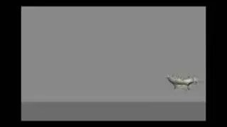 Project TSM Flushie jump/run test