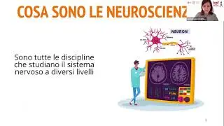 La Psicologia nelle neuroscienze
