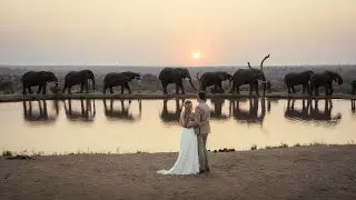 Luxury Destination Elopement on Safari in South Africa