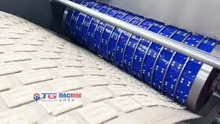 Automatic Soft Biscuit Production Line#manufacturing #foodmachinery #biscuit #biscuitmakingmachine