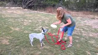 Spank disc return