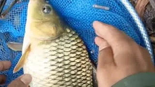 Spot wko pelembinatur surganya ikan tombro😁