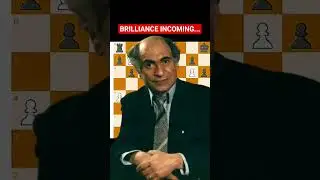 Brilliance incoming... #chess #siciliandefense #chessgrandmaster #memes #lichesstitledarena