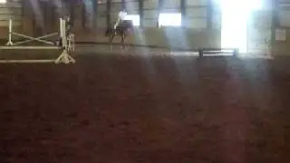 Horse Jumping Lesson- June 03, 2009