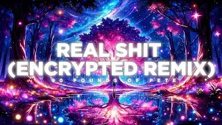 90 Pounds of Pete - Real Shit (Encrypted Remix)