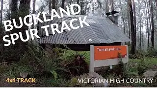 Victorian High Country - Buckland Spur Track & Tomahawk Hut (Mansfield to Whitfield)