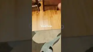 Good loop?