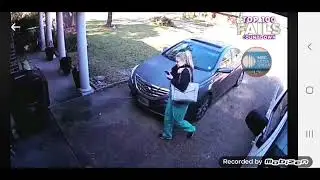 Always Funny Highlights - Top 25 Security Cam Silliness
