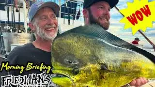 Whale shark & orcas in SoCal, Intrepid & Royal Polaris catching yellowtail & yellowfin tuna & more
