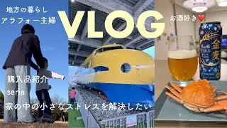 【日常VLOG】年末でなんとなく焦るアラフォー主婦🏃‍♀️小さなストレスを解消/購入品紹介/プチプラseria/新しいラグ/トレインパーク/おうち時間