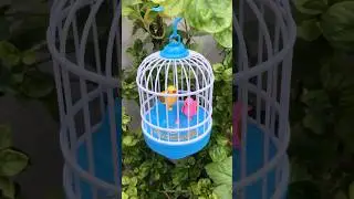 🎉 Mini Bird Cage Toy🕊️perfect birthday gift for kids! 🏡#BirdCageToy #ElectricBirdToy #KidsGifts
