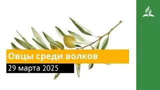29 марта 2025. Овцы среди волков. Под сенью благодати | Адвентисты