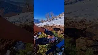 Winter Camping & Underground Pit Cooking | Lamb in the Ground | No Talking | Nature ASMR