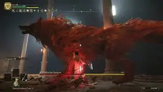 Red Wolf of Radagon - Level 1 - No Damage