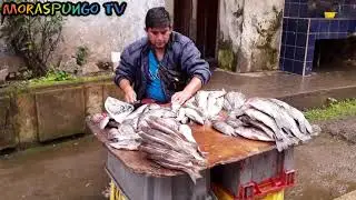 Facundo Vela tierra de caña