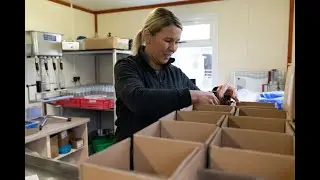 The Budget: Insights for small businesses