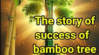 The bamboo tree story of success/English motivational story