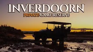 Inverdoorn Private Game Reserve - Luxury Big 5 Safari Close to Cape Town.