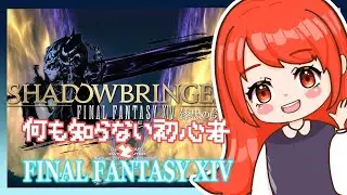 【FF14】初心者とFF14⚡漆黒ロールクエの続きやらねば⚡【ファイナルファンタジーXIV】＃初見さん歓迎　#ff14 #ファイナルファンタジー14　#漆黒のヴィランズ　#新人vtuber