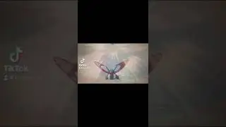 Stoutland Battle Tree