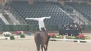 Equestrian Vaulting  - Harriet Bartell