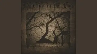 Struck by a Veil of Depression Forlorn