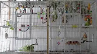 P1020882
