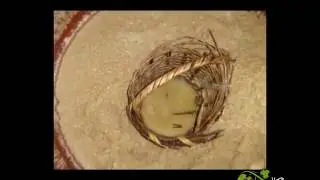 Elaboración de la Chicha en las comunidades del Departamento de Cochabamba
