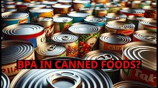 Are Canned Foods Safe? What You Should Know About BPA in Can Linings