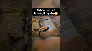 Grand Theft Horse🤠 #shorts #rdr2 #funny