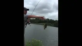Bluegill on the Gulp Leech