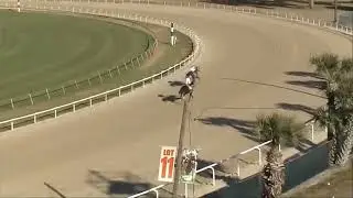 Tampa Bay Downs RACE 8 - 01 FEB 2026